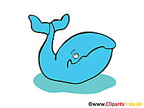 Wal Clipart, Bild, Grafik, Cartoon, Zeichnung gratis Wal Clipart, Bild, Grafik, Cartoon, Zeichnung gratis