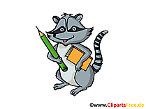 Waschbär Clipart, Grafik, Illustration, Bild gratis Waschbär Clipart, Grafik, Illustration, Bild gratis