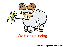 Welttierschutztag - Bilder zum Ddownload kostenlos