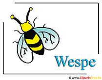 Wespe-Clipart-free-Insekten