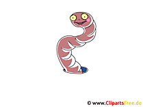 Wurm Clipart