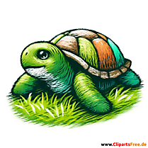 Clipart Schildkröte