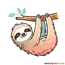 Faultier Clipart