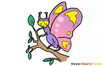 Schmetterling Comoc, Cartoon, Clipart