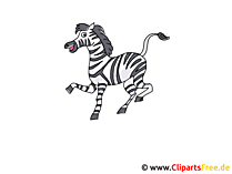 Zebra Clipart