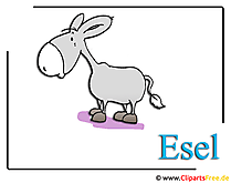 Zoo Clipart Cartoon Esel