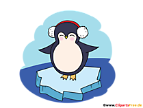 Pinguin auf Eisscholle Clipart, Illustration, Bild PNG