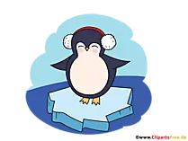 Pinguin auf Eisscholle Clipart, Illustration, Bild PNG