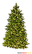 Grüne Tanne Clipart, illustration, Bild transparent