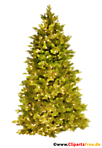 Tanne Aquarellbild mit transparentem Background