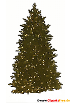 Tannenbaum PNG-Clipart mit transparentem Hintergrund