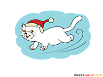 Weisse Katze mit roten Mütze Cliparts für Schule, Arbeitsblätter