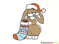 Xmas Cards
