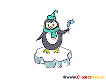 Kostenlose Pinguine Bilder, Grafiken, Cliparts