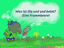 Was ist lila - Scherzfragen mit Lösungen und Antworten